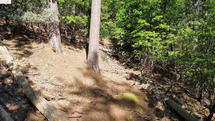 23804 S Oxbow Lane  Sonora CA 95370 photo