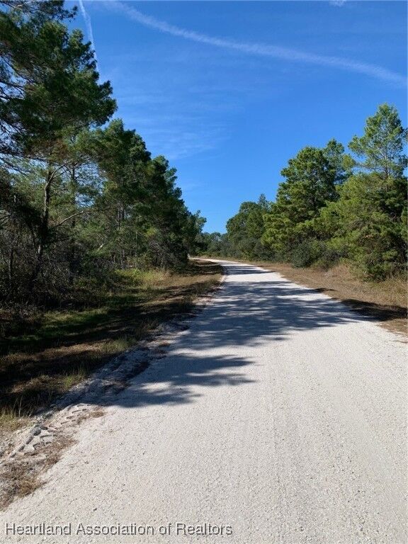 Property Photo:  1222 Cockatoo Avenue  FL 33852 