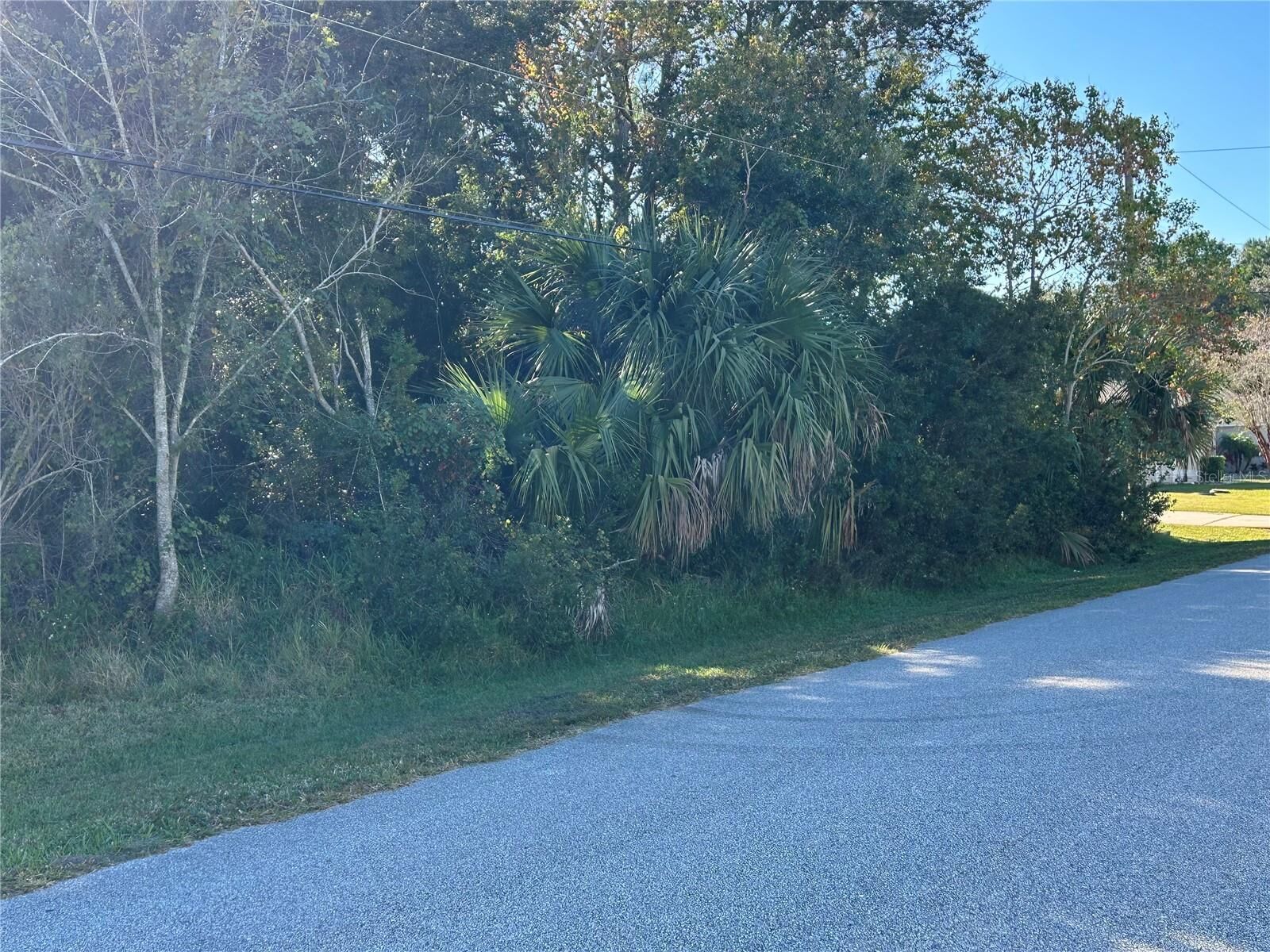 Property Photo: 5 Ludlow Lane W FL 32137