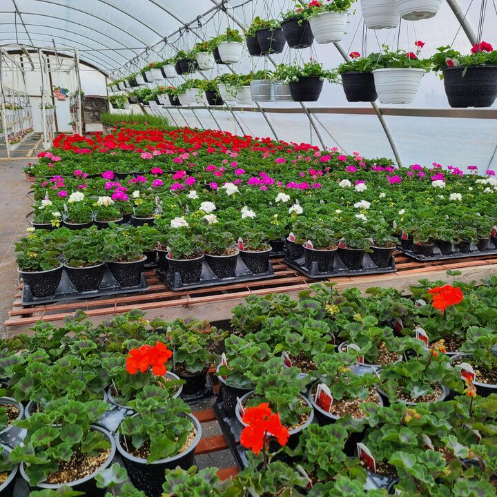 Property Photo: 645 S Meridian Road MI 49247