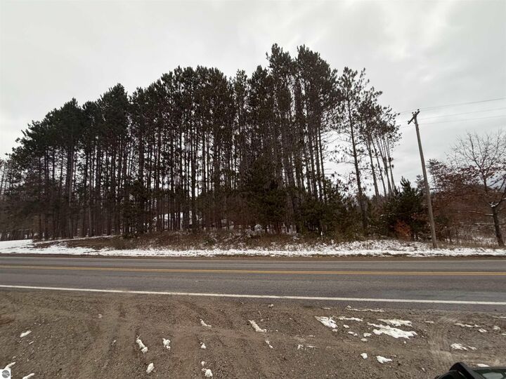 Property Photo:  V/L County Road 633  MI 49620 