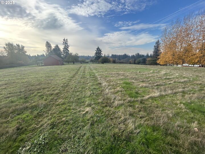 Property Photo: 216 NE 164th St WA 98642