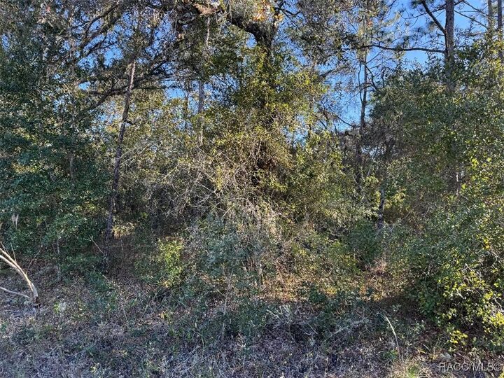 Property Photo: 3144 W Marie Drive FL 34433