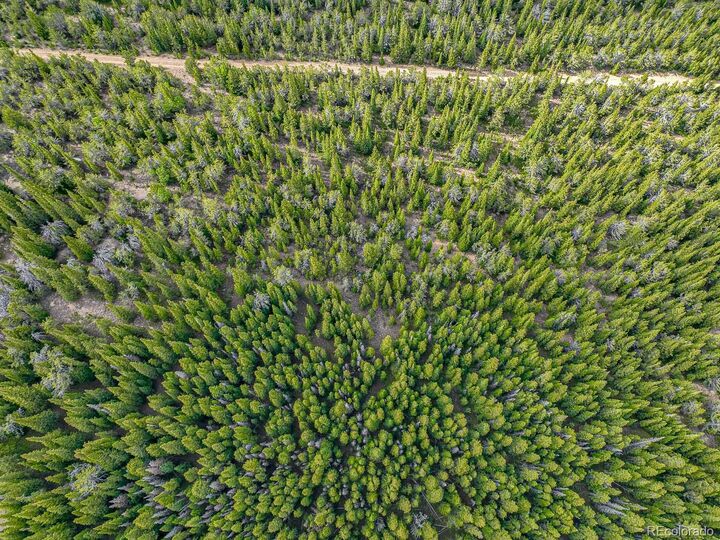 Property Photo:  111 Mosquito Creek Road  CO 80422 