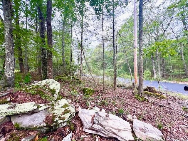 Property Photo:  52 Devlin Road  NY 12743 