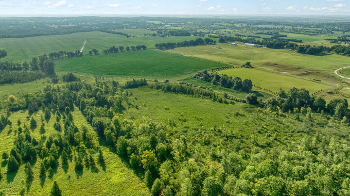 Property Photo:  20 Washburn Road  MI 49240 