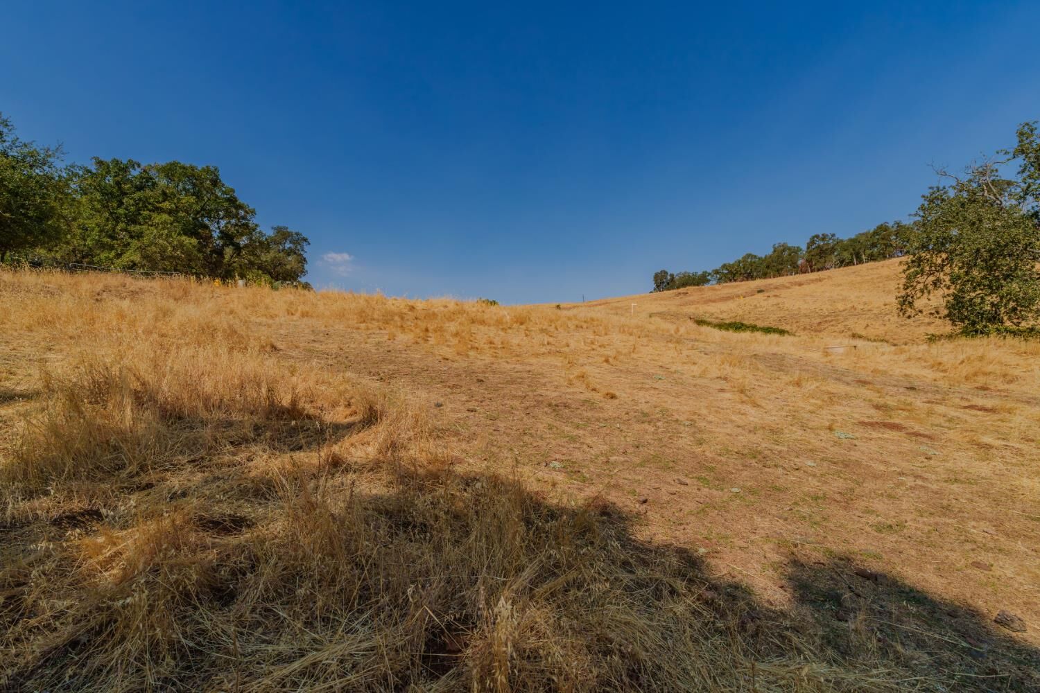 Property Photo: 52 David Drive CA 95685