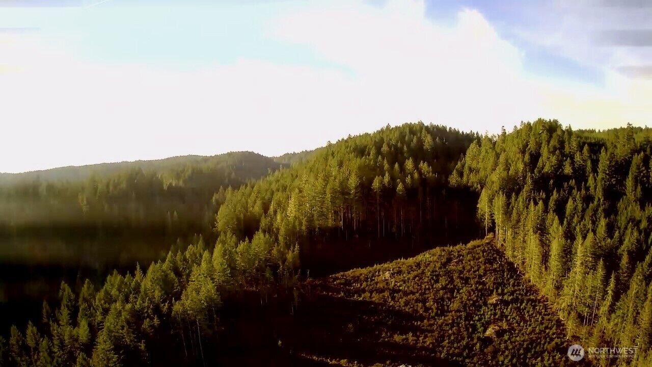 Property Photo:  0 N US Highway 101  WA 98584 