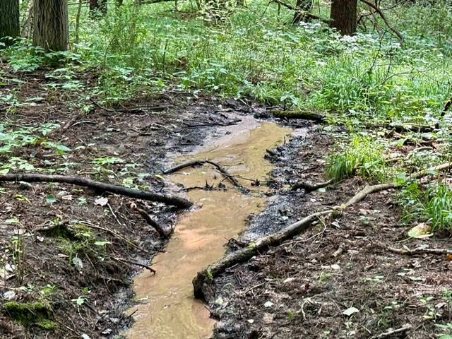 0000 W Empire Highway  Empire Twp MI 49630 photo