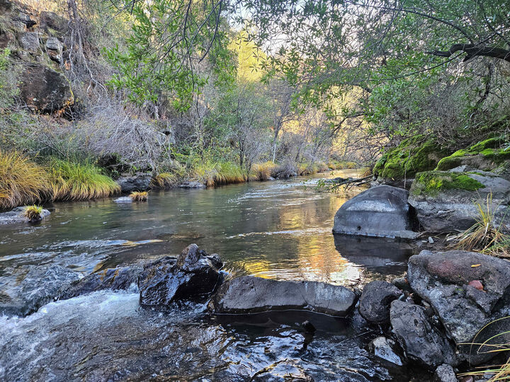 Property Photo:  21675 Wildcat Road  CA 96075 