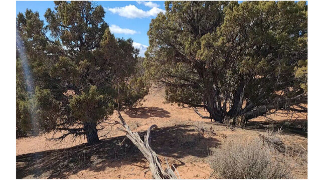 Property Photo:  30 S 17650 W 17B  UT 84021 