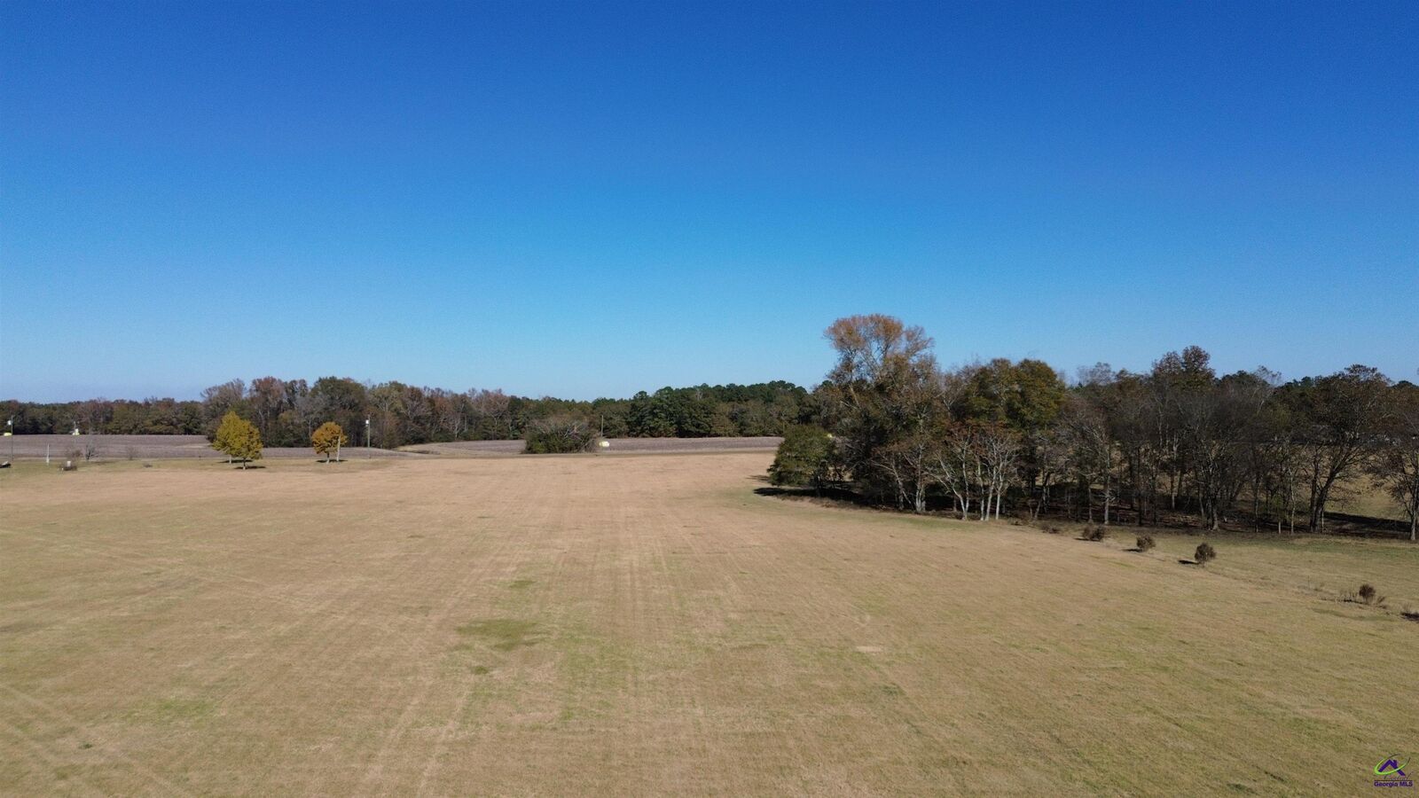 Property Photo: 269 Pea Ridge Road GA 31065