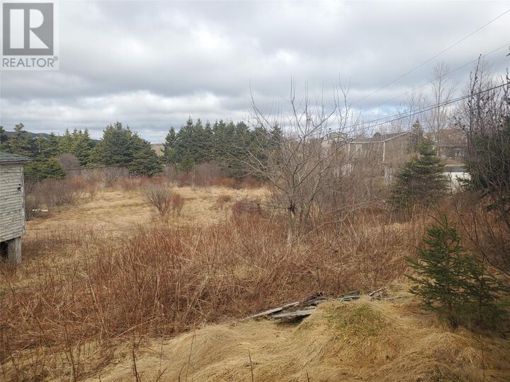 Property Photo:  96 Marine Drive  NL A0E 2M0 