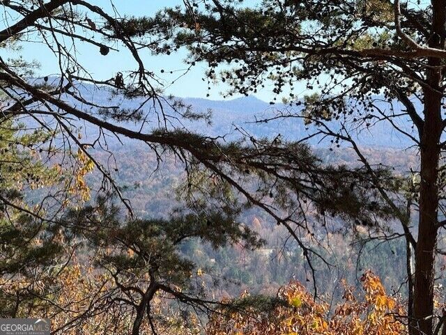 Property Photo:  0 John Call Road  GA 30175 