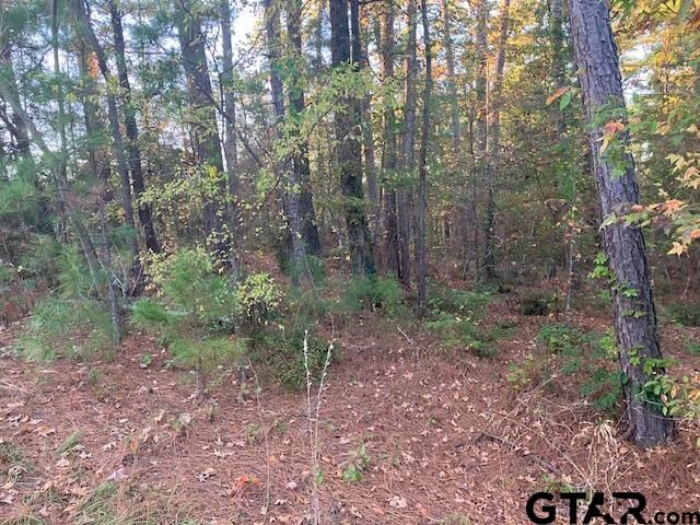 Property Photo:  1657 Pineview Dr  TX 75771 