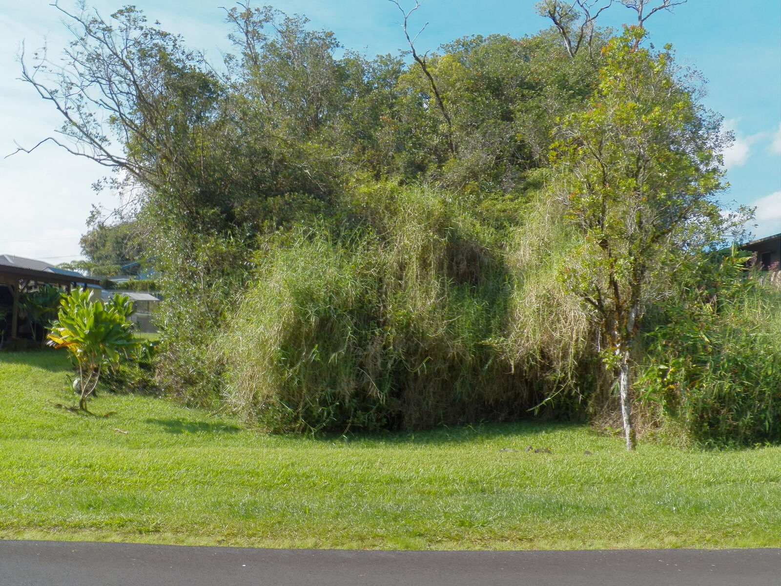 Property Photo:  Kolika Rd  HI 96771 