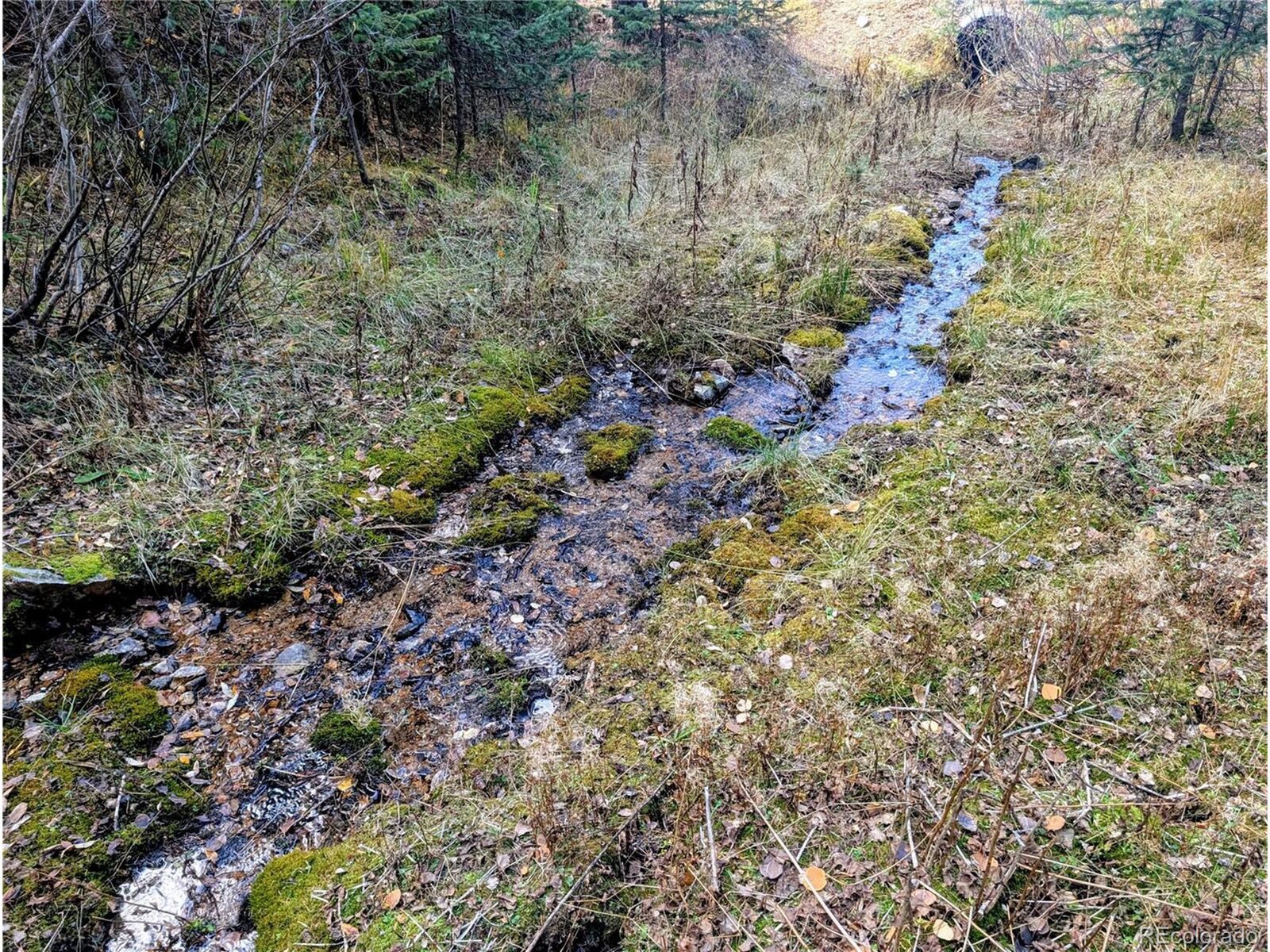 Property Photo:  48 Forbes Rd  CO 81133 