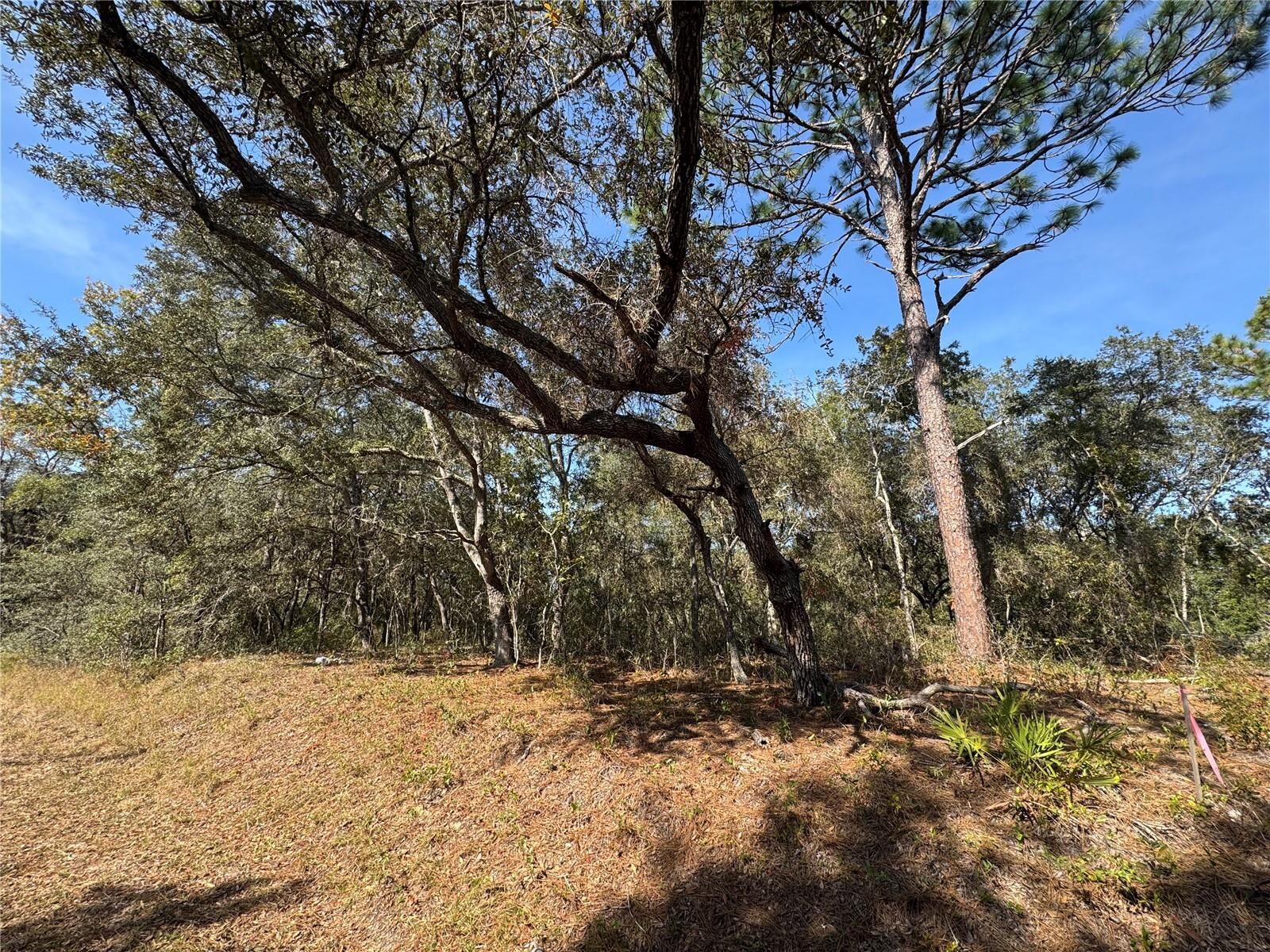 Property Photo: SE 115 Place Road FL 32179