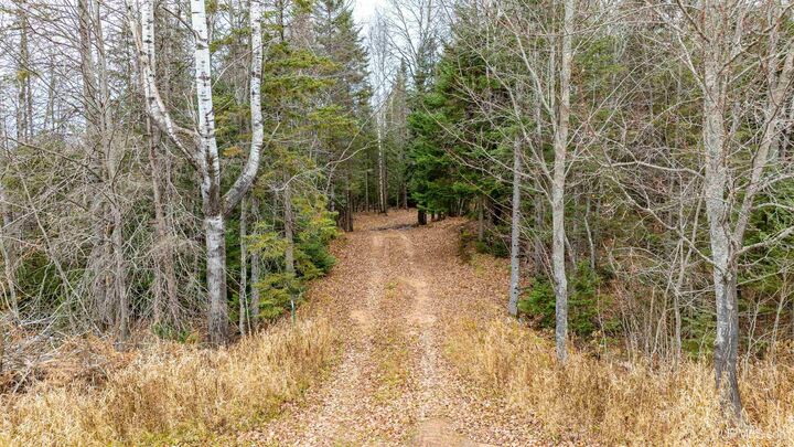 Property Photo: Tbd Asumaa Road MI 49905