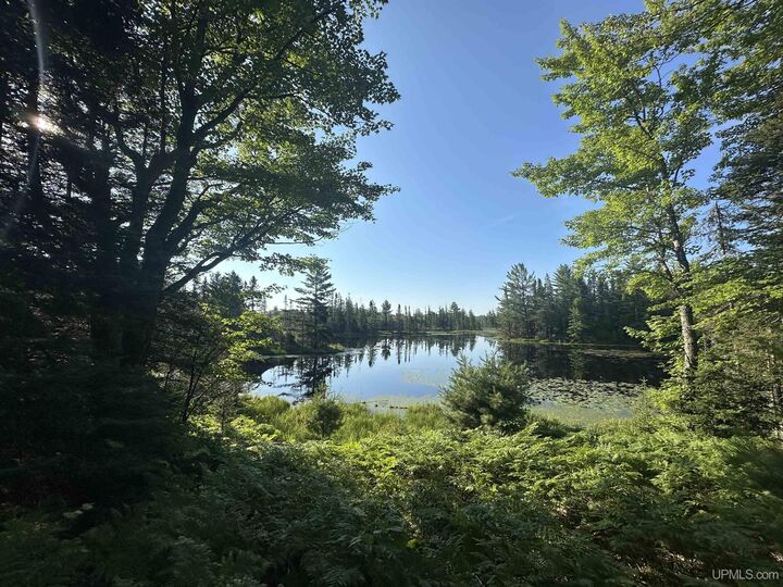 Property Photo:  Lake Arvid Off Indian Lake Road  MI 49861 