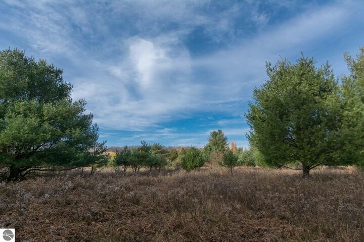 Property Photo: 0000 E Bellinger Road MI 49621