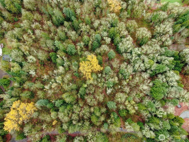 29411 NE 178th Place  Duvall WA 98019 photo