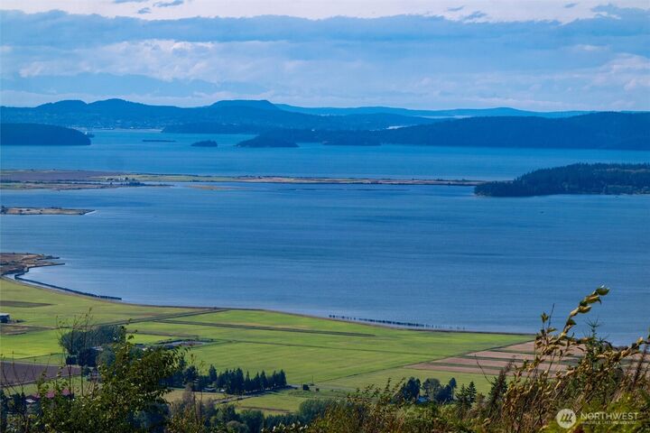 3140  Blanchard Knob Trail  Bow WA 98232 photo