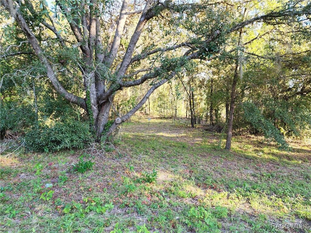 Property Photo: 1329 N Mediterranean Way FL 34453
