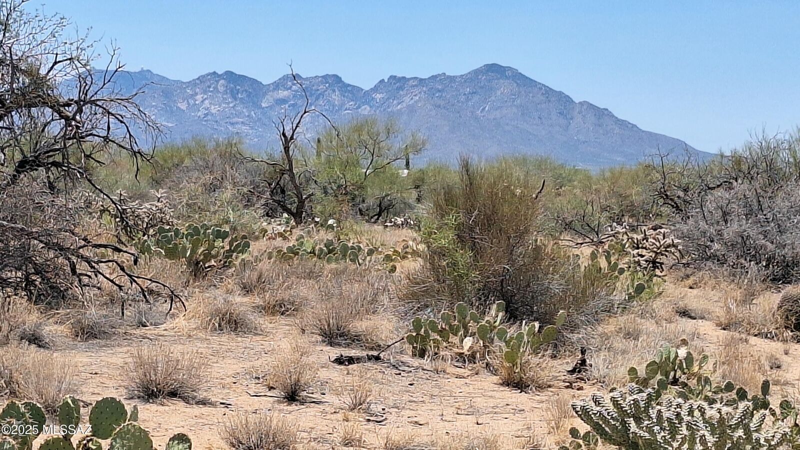 Property Photo: 14454 S Ezra Place 360 AZ 85736