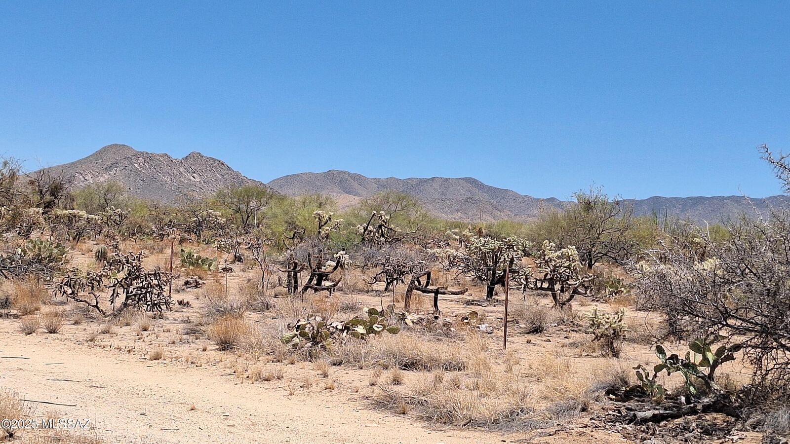 Property Photo:  14454 S Ezra Place 360  AZ 85736 