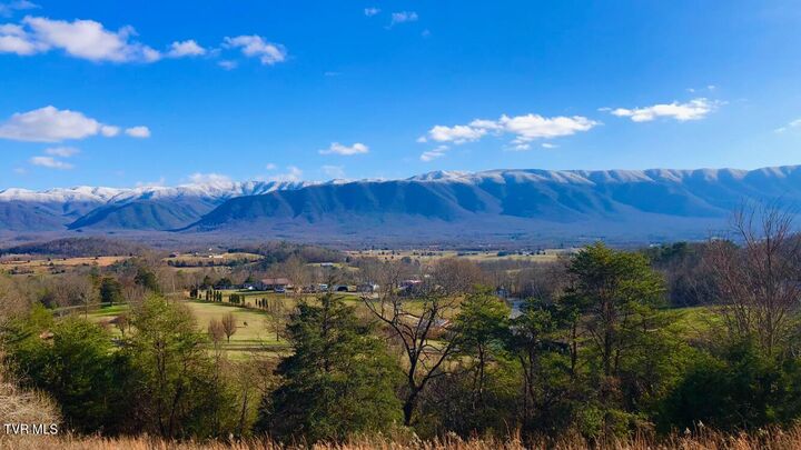 Property Photo: 285 Greystone Road TN 37743