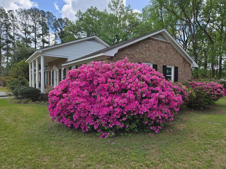 Property Photo:  598 Maple Branch Road  SC 29471 