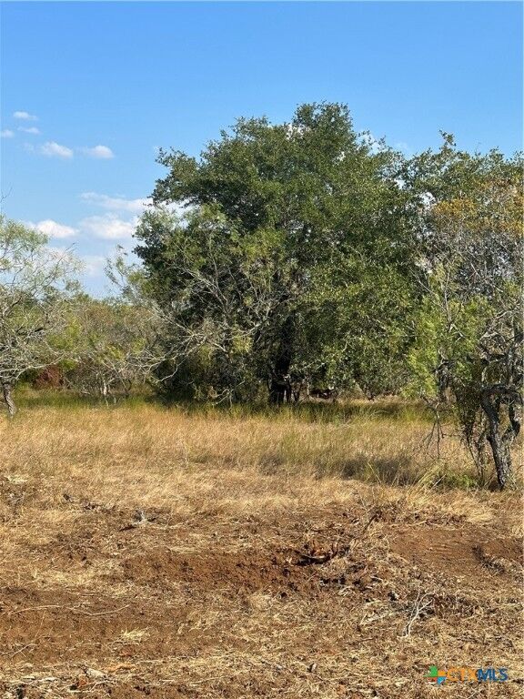 Property Photo:  5894 Fm 1107, Unit A-Tract 2 A-2  TX 78160 