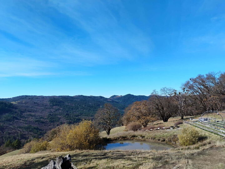 Property Photo: 11 Bronco Court CA 95526