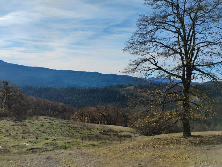 Property Photo:  11 Bronco Court  CA 95526 