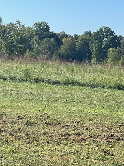 Property Photo:  Lot 8 Egypt Mills Ridge  MO 63701 