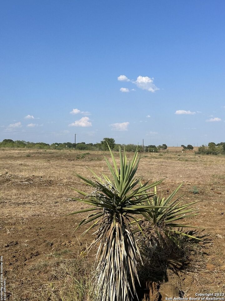 Property Photo: 5894 Fm 1107 Unit B-Tract 1 TX 78160