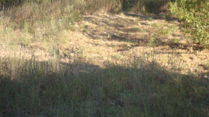 Property Photo: 13904 & 13902 Saskatchewan Drive TX 78734