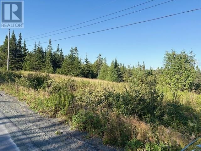 Property Photo:  131 Markland Road  NL A0B 3K0 