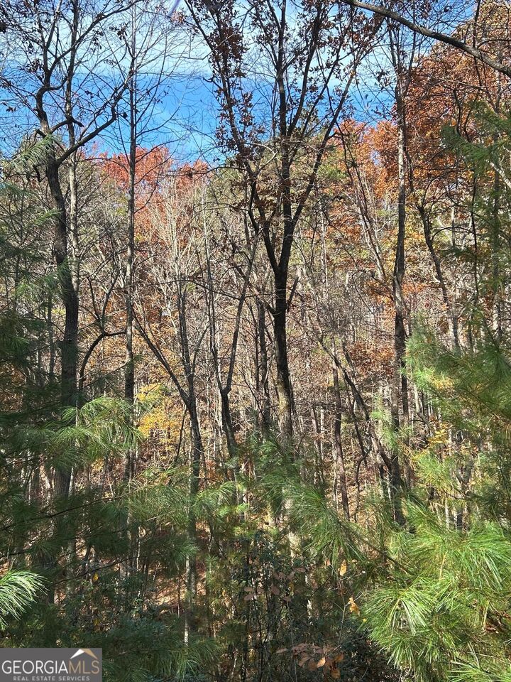 Property Photo:  0 Lakota Lane  GA 30559 