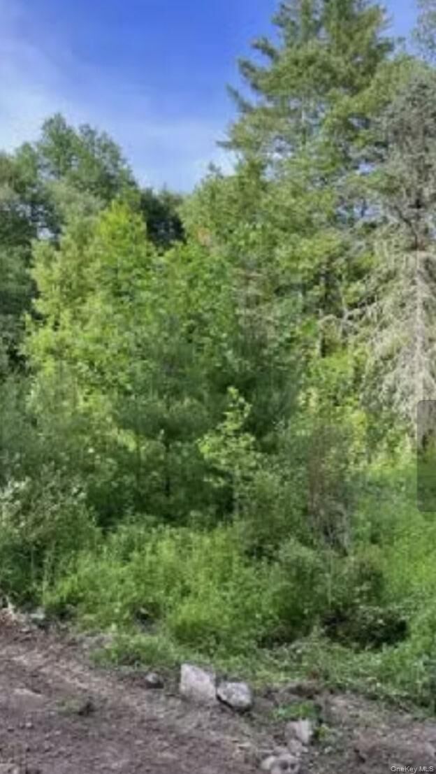 Property Photo: 358/80 Ferguson Lane NY 12790