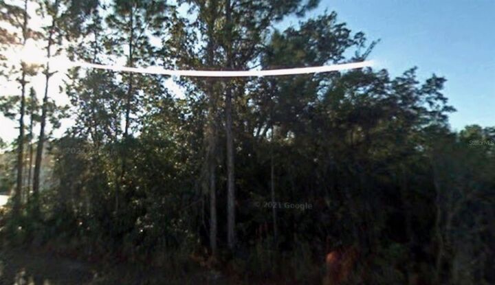 Property Photo: 23105 Newcun Avenue FL 33980