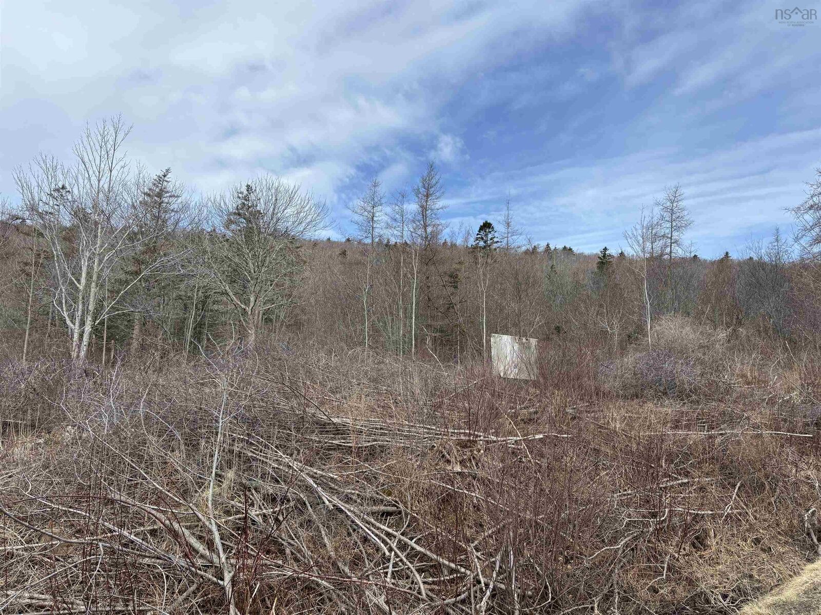 Property Photo:  Culloden Road  NS B0V 1A0 