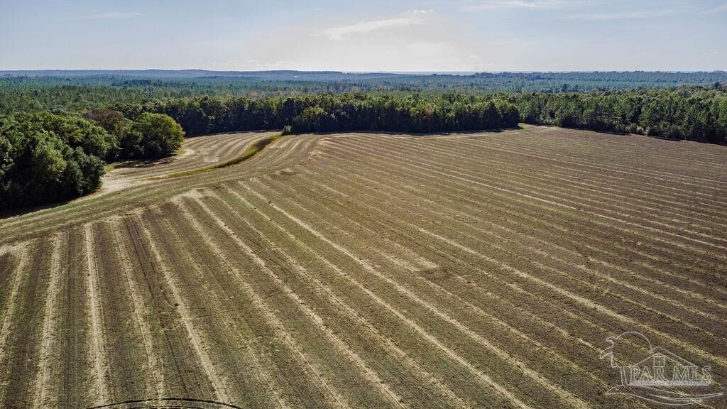 Property Photo: 2A Segrest Rd FL 32571