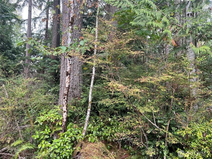 Property Photo: 2 Xx View Drive NE WA 98370