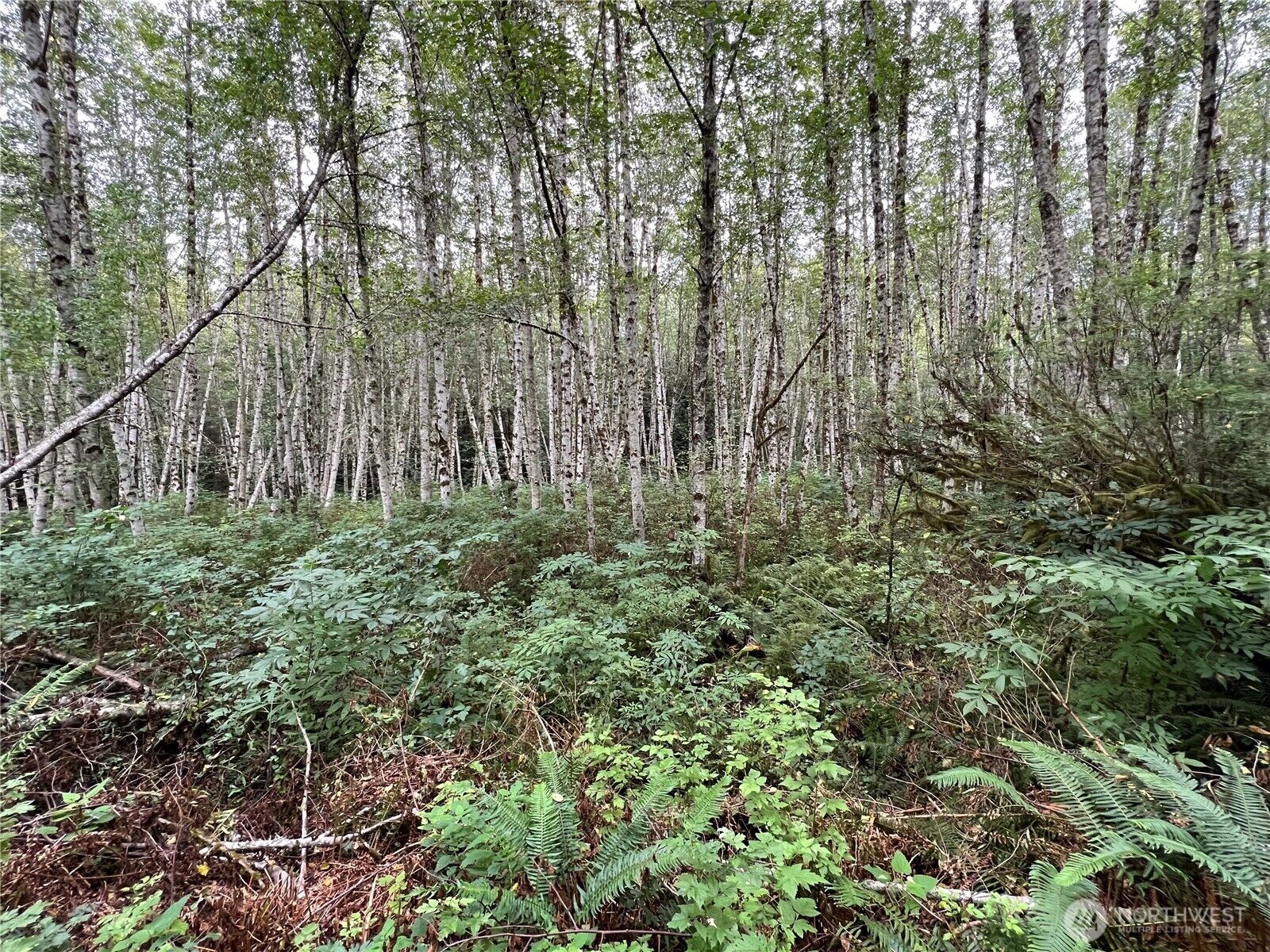 Property Photo: 4 Xx Scenic Drive WA 98370