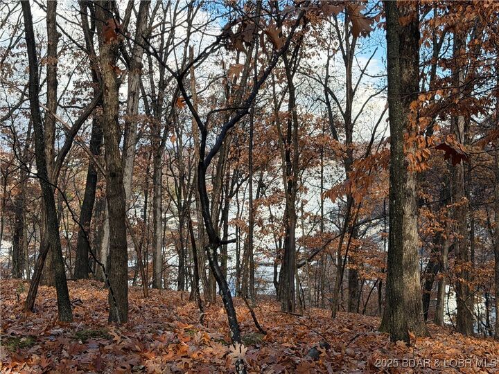Property Photo: Lot 46 Carol Road MO 65049