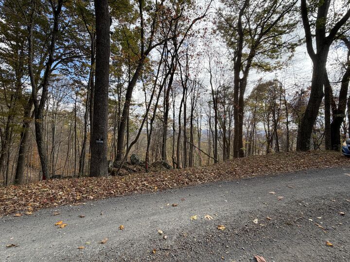 Property Photo:  Muddy Creek Mountain Rd  WV 24901 
