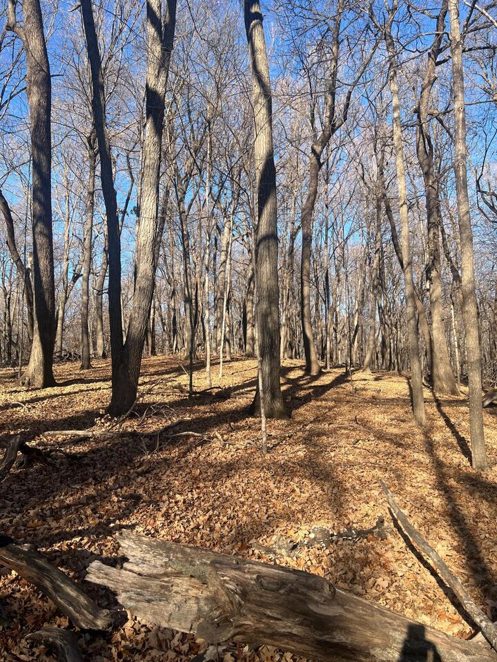 Property Photo: Tbd Moe Hall Road NW MN 56332