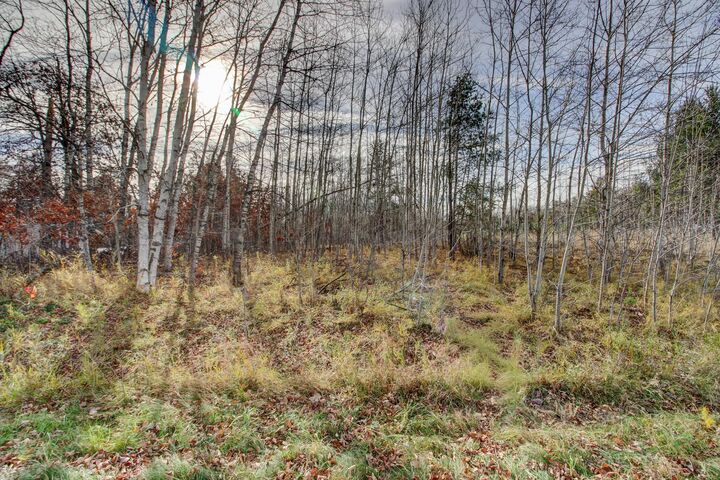 Property Photo:  7557 Fallen Leaf Circle  MN 56472 